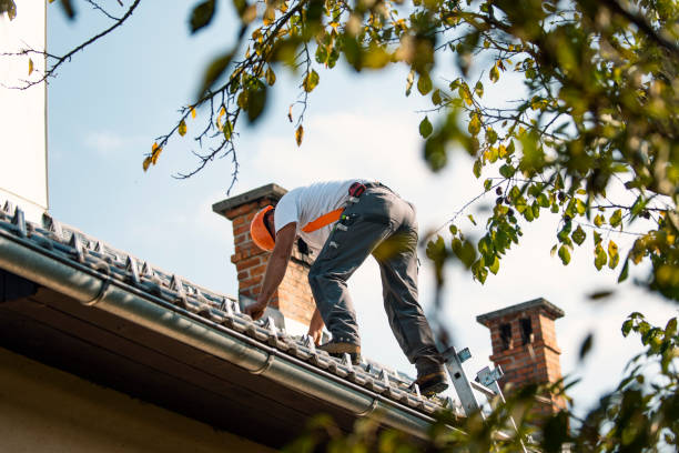 Best Commercial Roofing Services  in South Rosemary, NC